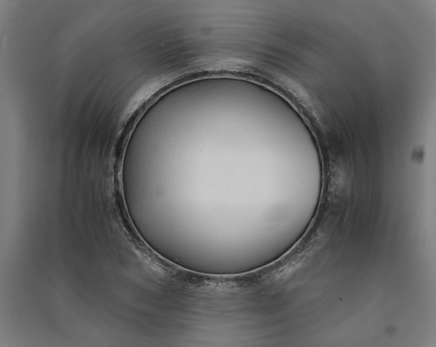 X0000091080978200708201429