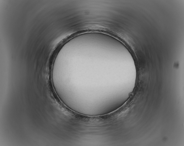 X0000091080979200708201429