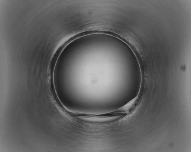 X0000091080981200708201429