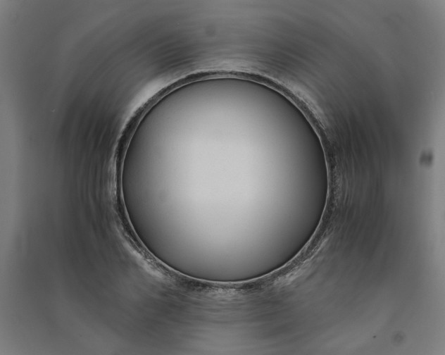 X0000091080982200708201429