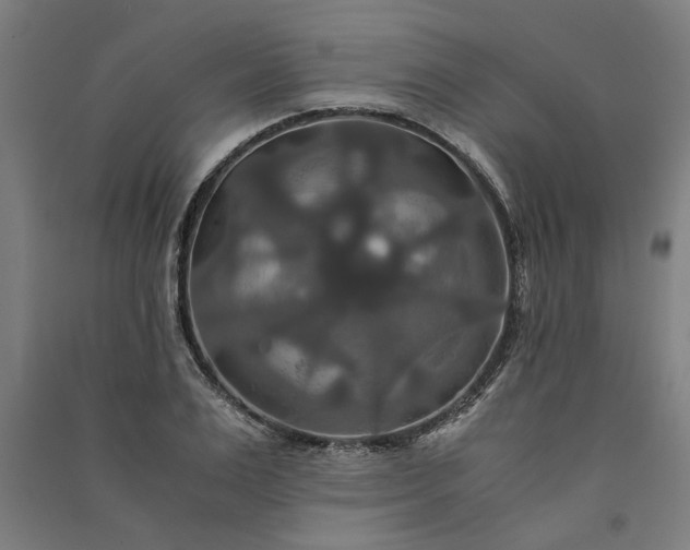 X0000091080983200708201429