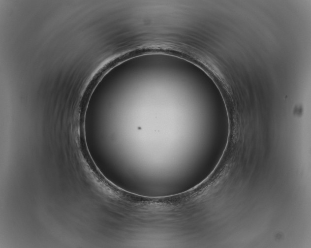 X0000091080984200708201429