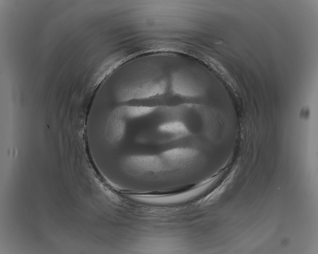 X0000091080985200708201429