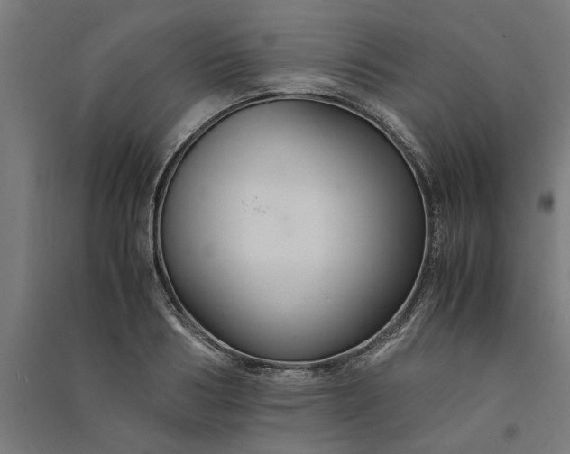 X0000091080986200708201429