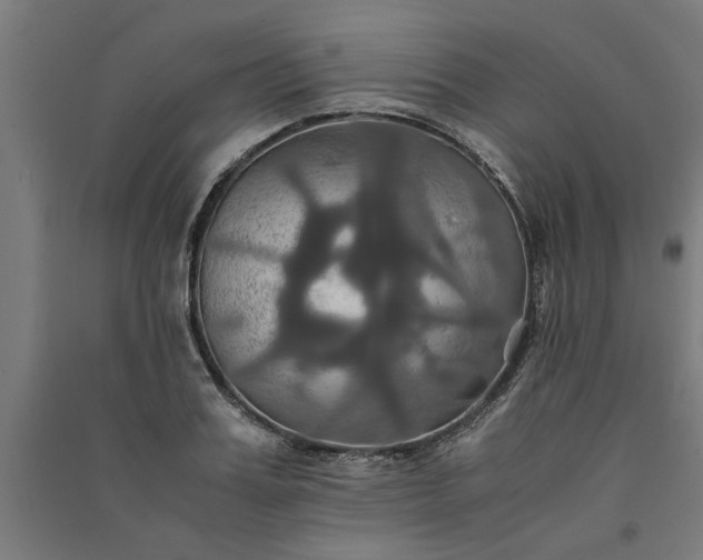 X0000091080987200708201429