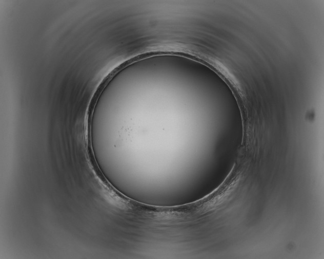 X0000091080988200708201429