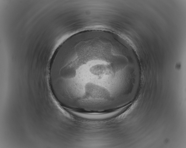 X0000091080989200708201429