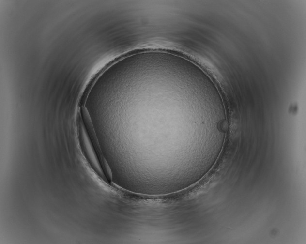 X0000091080990200708201429