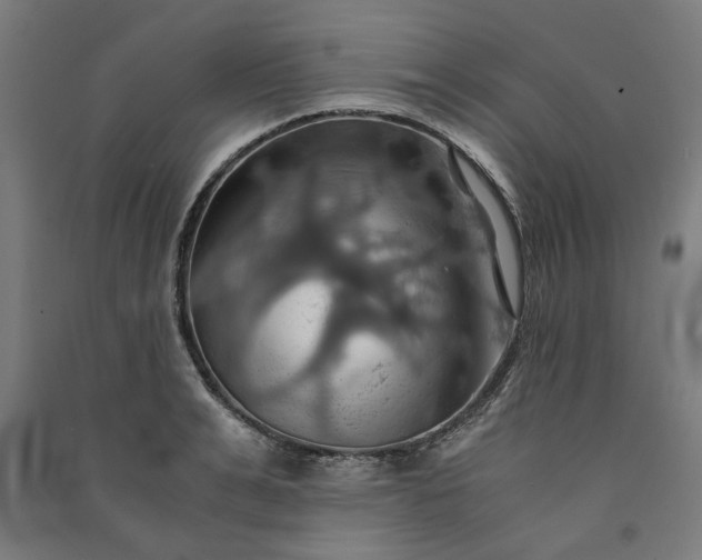 X0000091080991200708201429