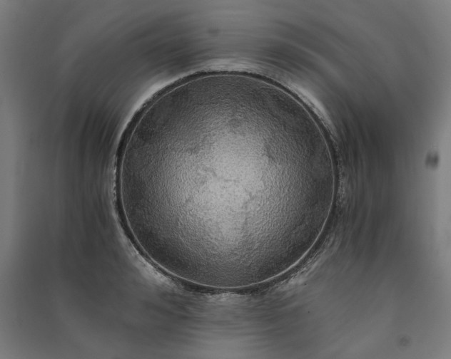 X0000091080992200708201429