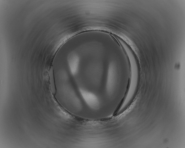 X0000091080993200708201429