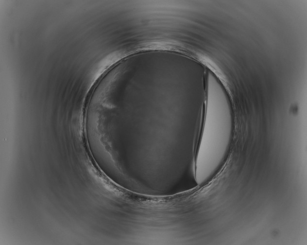 X0000091080994200708201429