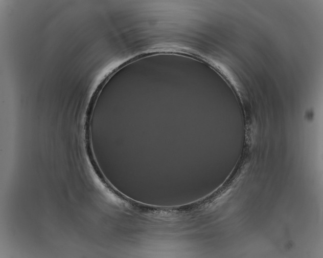 X0000091080995200708201429