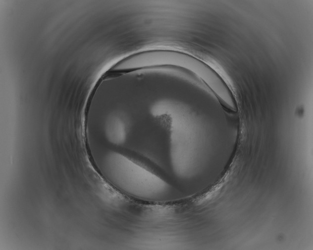 X0000091080996200708201429