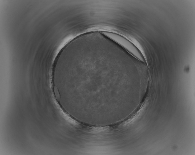 X0000091080997200708201429