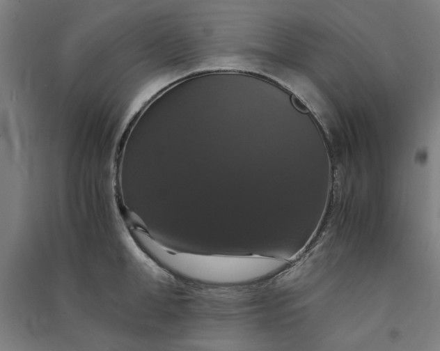 X0000091080998200708201429