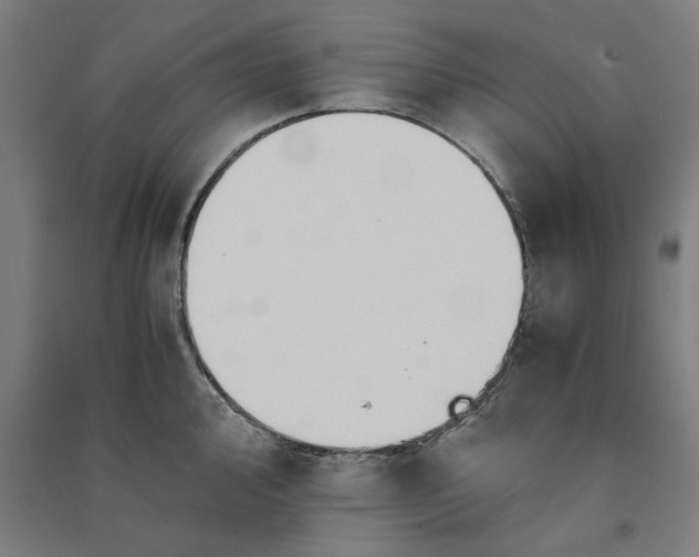 X0000091081000200708201429