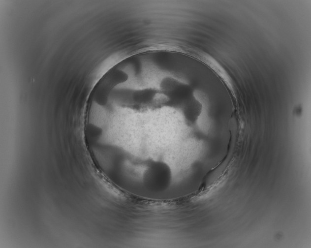 X0000091081002200708201429