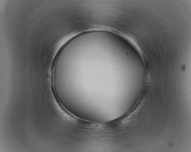 X0000091081003200708201429