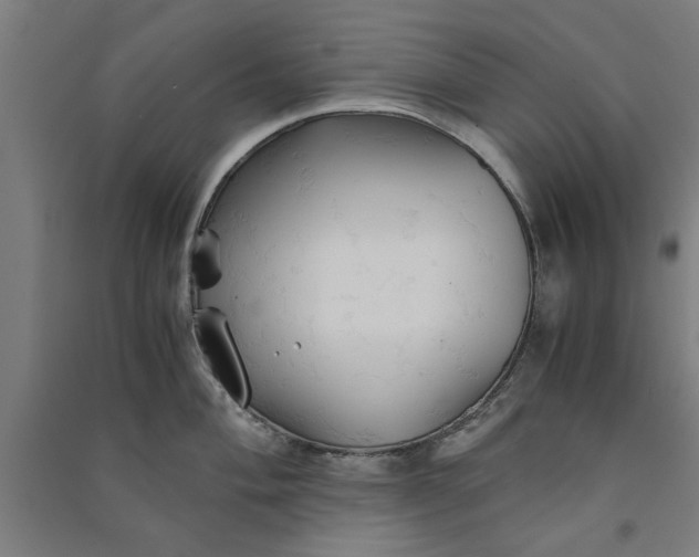 X0000091081004200708201429