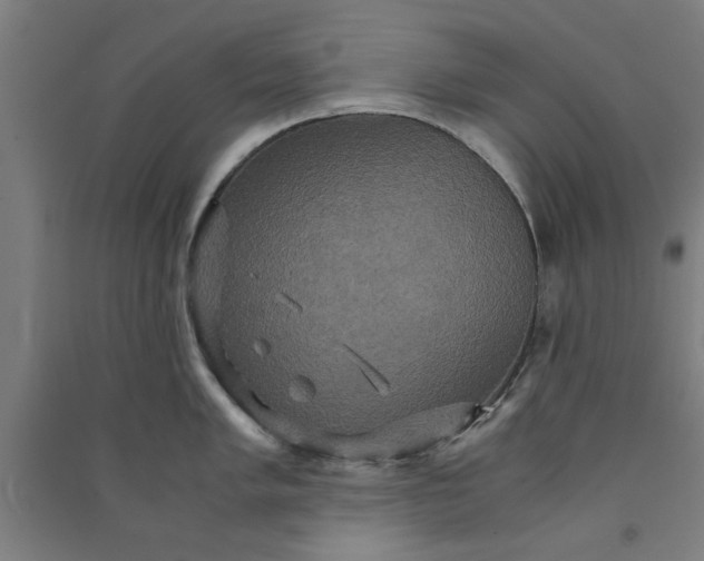 X0000091081005200708201429