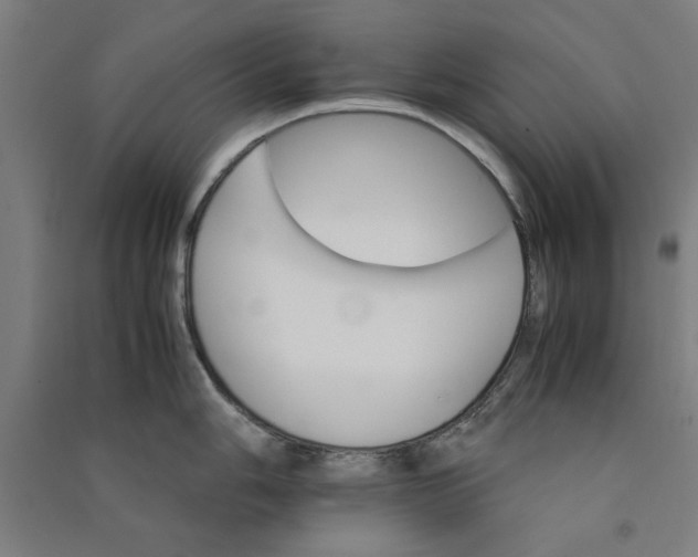 X0000091081006200708201429