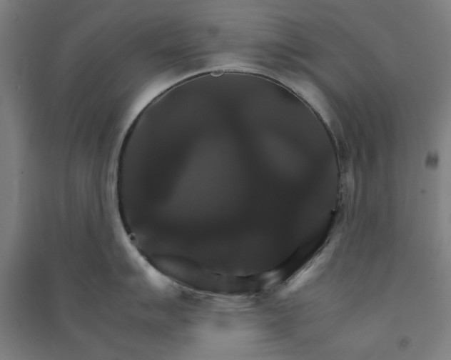 X0000091081007200708201429