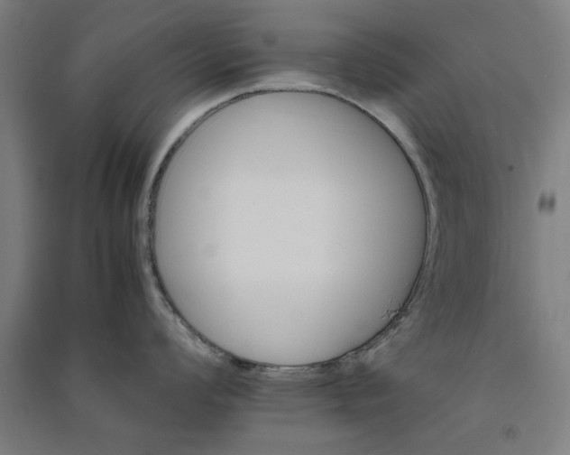 X0000091081008200708201429