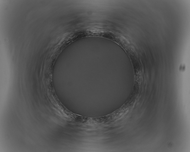 X0000091081009200708201428