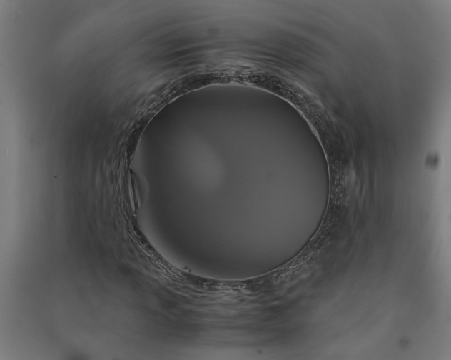 X0000091081013200708201428