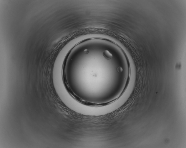 X0000091081014200708201428