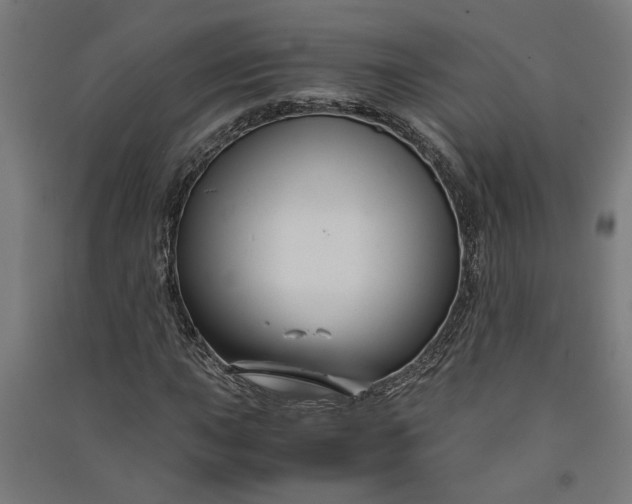 X0000091081015200708201428