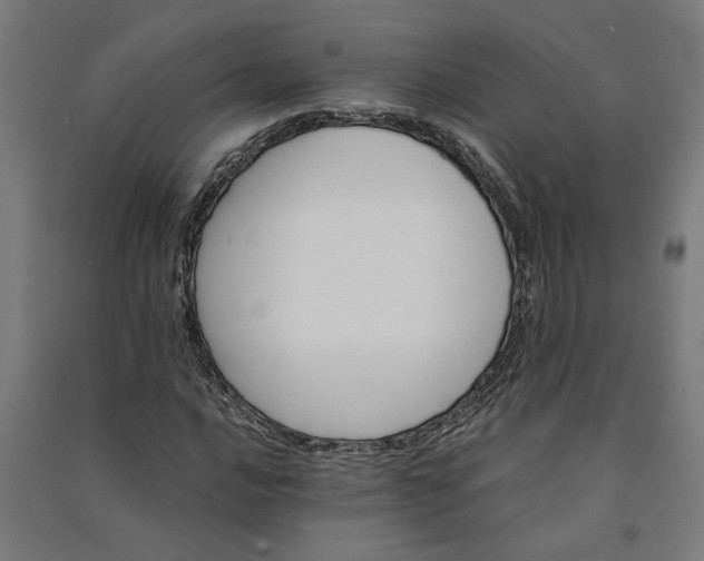 X0000091081016200708201428