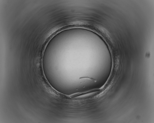 X0000091081017200708201428