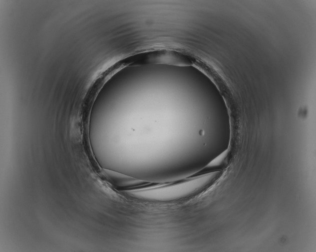 X0000091081018200708201428