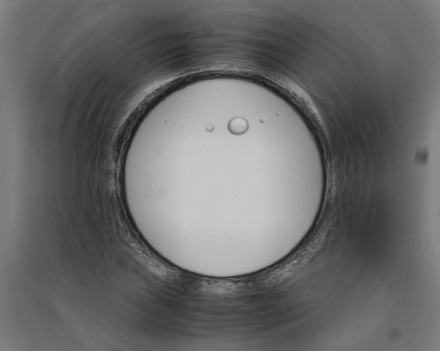 X0000091081019200708201428