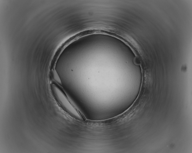 X0000091081020200708201428