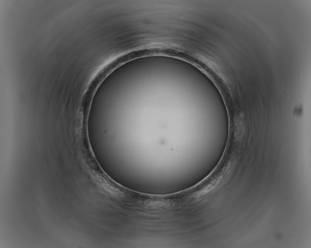 X0000091081021200708201428