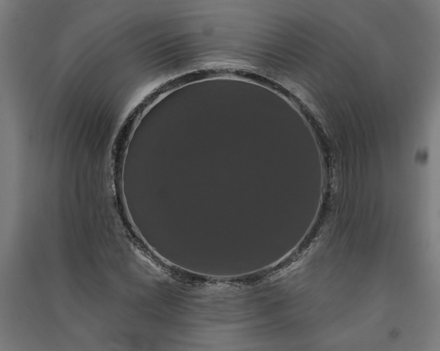 X0000091081022200708201428