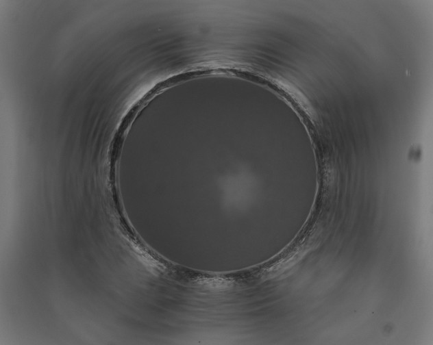 X0000091081023200708201428