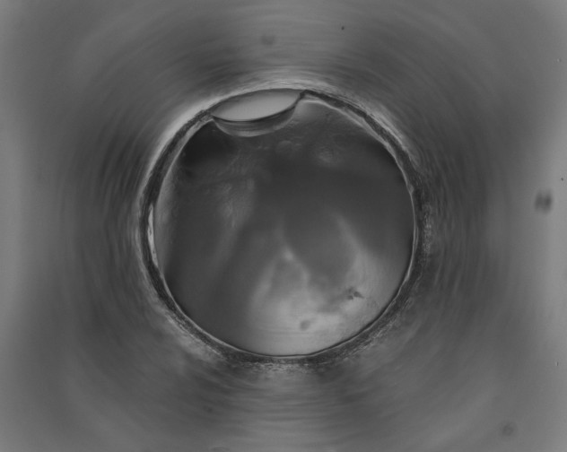 X0000091081024200708201428