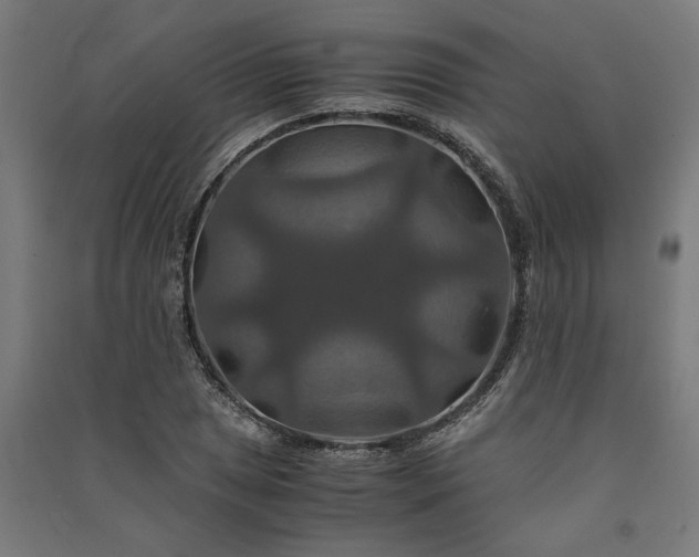 X0000091081025200708201428