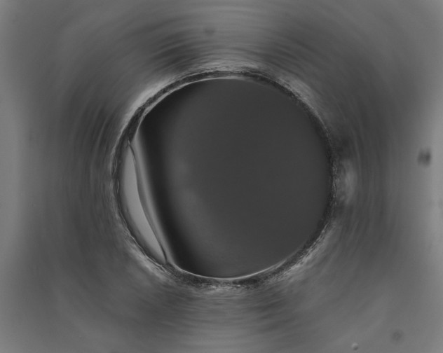 X0000091081026200708201428