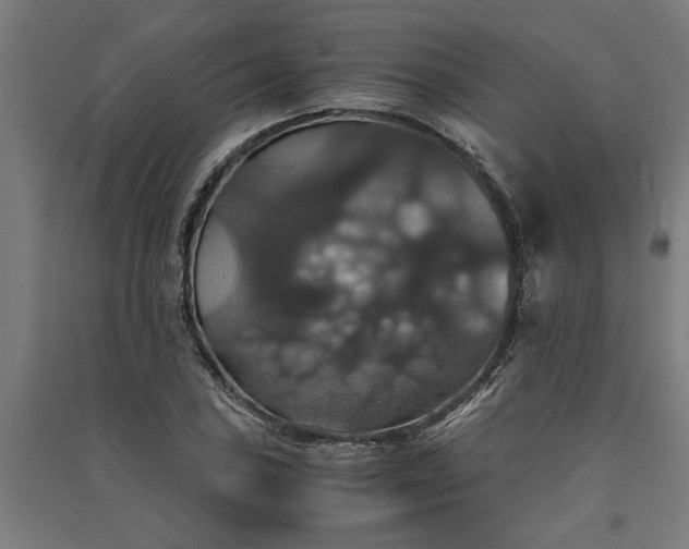 X0000091081027200708201428