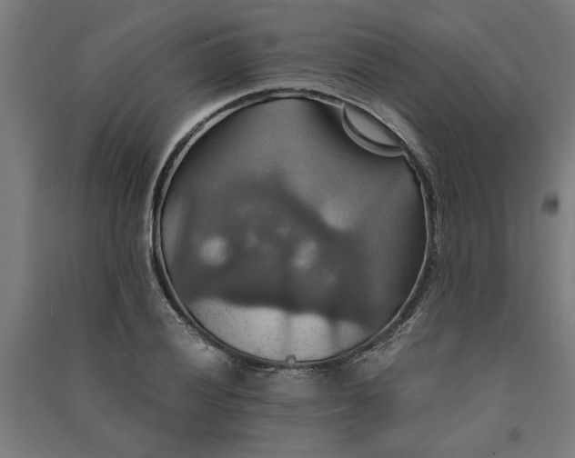 X0000091081028200708201428