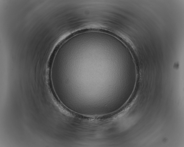 X0000091081029200708201428