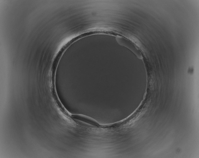 X0000091081030200708201428