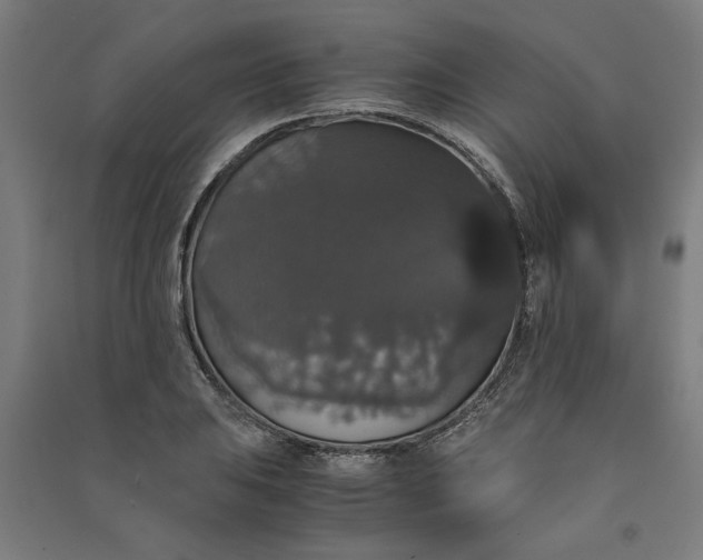 X0000091081031200708201428