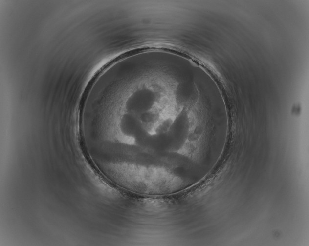 X0000091081032200708201429