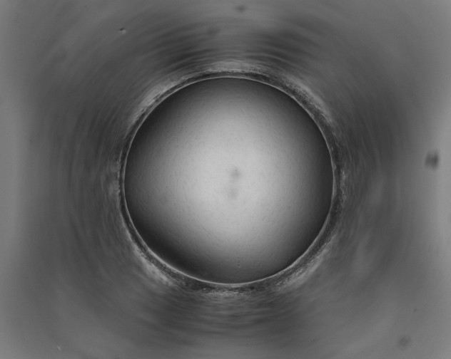 X0000091081033200708201429